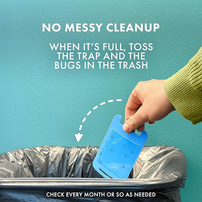 STEM Insect Light Trap Refill Cartridges, Indoor Fruit Fly Trap, Insecticide-Free Pest Control for Home, Attracts and Traps Flying Insects, Official STEM Refills - 8 Count