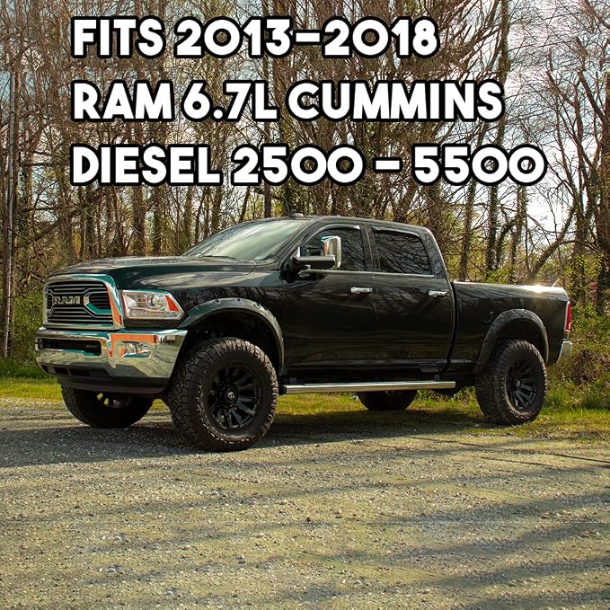 Diesly Pro 6.7L Cummins Fuel Filters | LIFETIME INJECTOR WARRANTY | Replacement