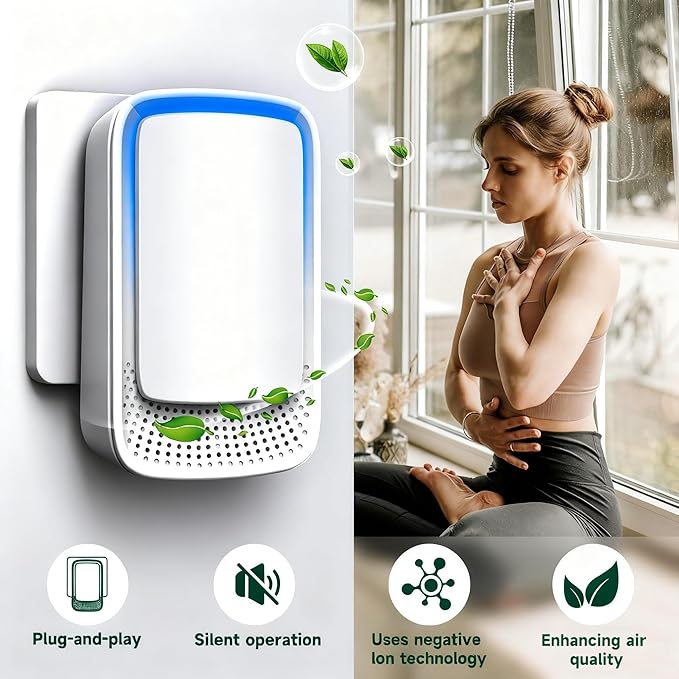 Plug In Air Ionizer Purifier for Home, Negative Ion Generator, Quiet Air