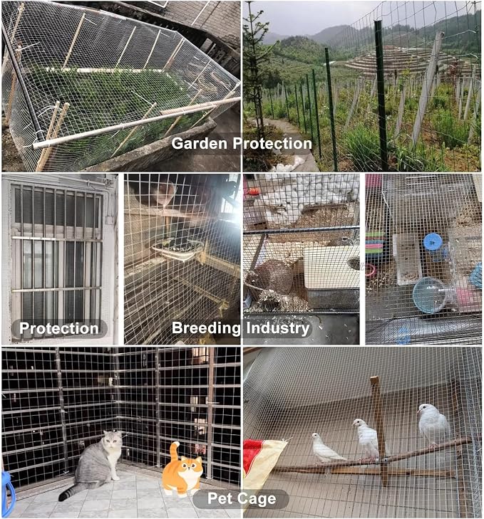 Livestock Fencing Roll Galvanised Welded Wire Mesh Roll Garden Chicken Wire