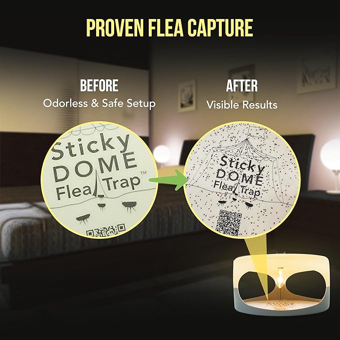ASPECTEK Sticky Dome Flea Trap, Odorless Glue Trap with 2 Sticky Discs, Effective Bed Bug Killer and Flea and Tick Treatment, Indoor Insect Trap for Bugs, 2 Packs in White and Light Gray