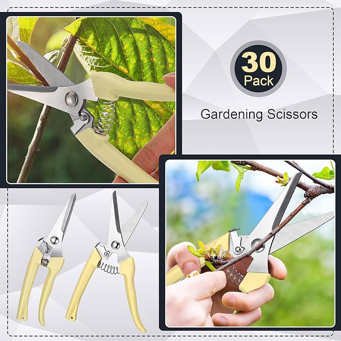 Chumia 30 Pcs Garden Shears Flower Pruning Scissors for Plants, Beige