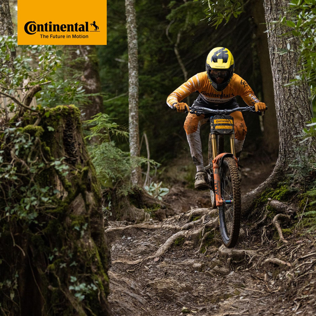 Continental MTB 27.5x1.75-2.5" / 47-584 -> 62-584 Inner Tubes - 42mm Presta Valve (Pack of 2 Tubes) (Retail Packaging, 27.5x1.75-2.50")