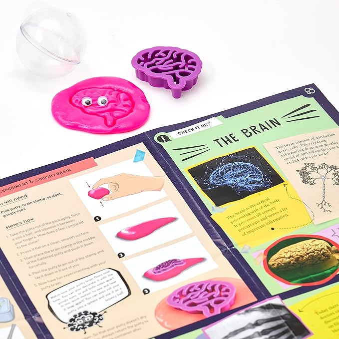Thames & Kosmos Gross Anatomy: Make-Your-Own Squishy Human Body STEM Experiment Kit | Make Colorful Models of Human Organs with Slime & Putty | Fun, Tactile Intro to Human Anatomy | 5 Cool Activities