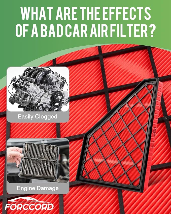 Cabin Air Filter and Engine Air Filter Fit