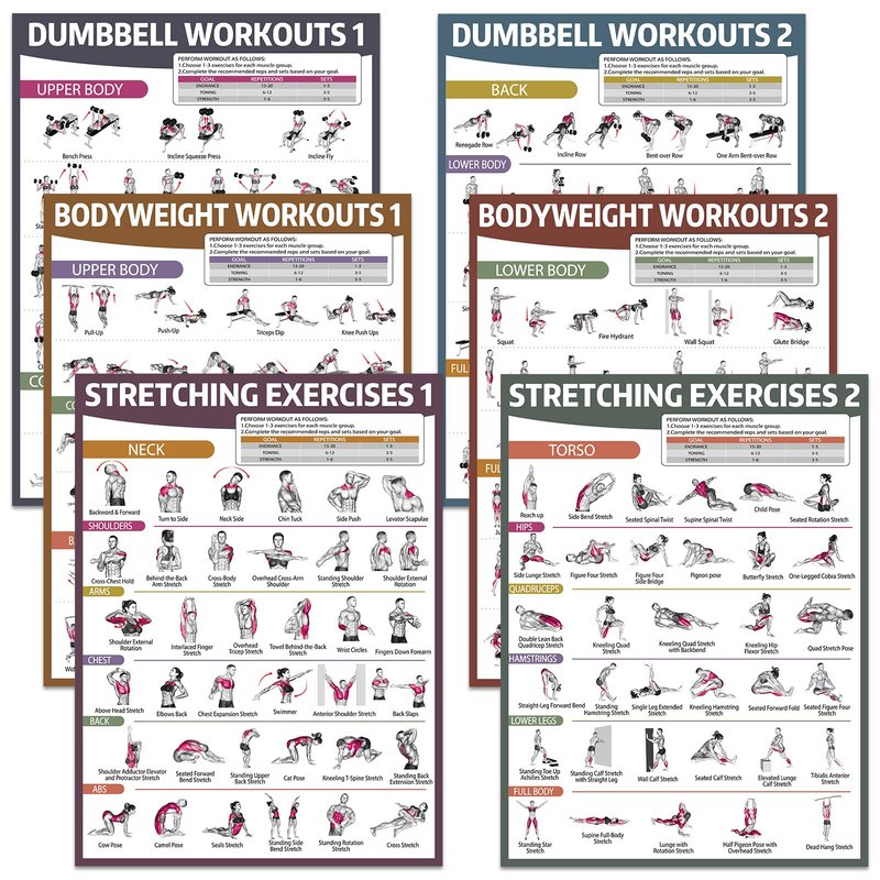 gisgfim 6PCS Workout Posters Dumbbell Bodyweight Stretching Workout Exercise Chart for Home Gym Full Body Routine Poster Set Muscle Engagement Exercise Illustrations Garage Home Gym Wall Decorations