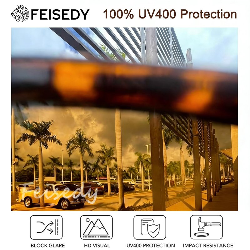 FEISEDY Retro Oval Sunglasses for Women Men Chic Cat Eye Y2K Designer UV400 Sun Glasses B0407
