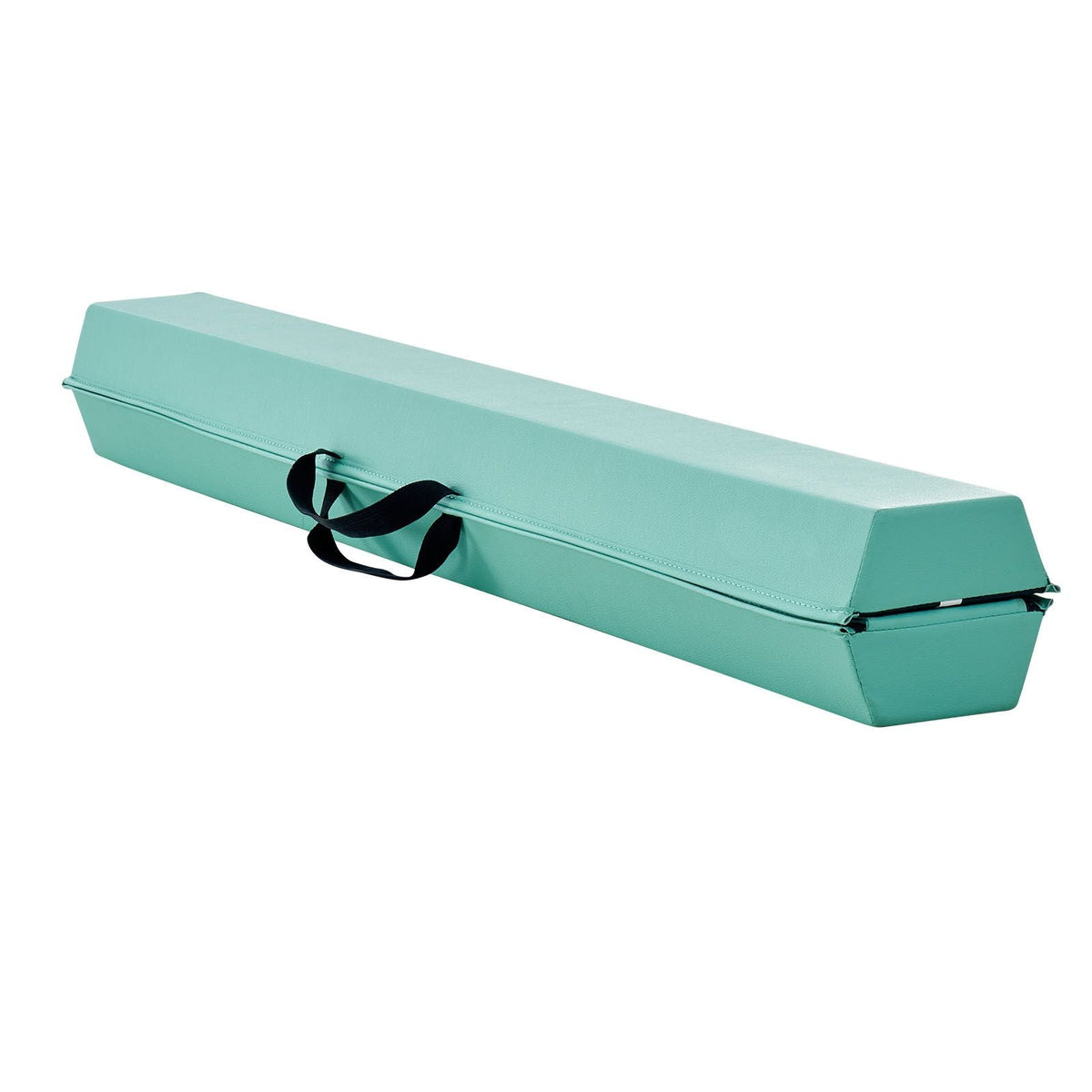 8FT Folding Balance Beam for Kids, 200LBS Stable Support Gymnastics Floor Beam with Non-Slip Mats, Gymnastics Training Equipment with Anti-Slip Bottom and Carrying Bag for Home Gym, Mint Green