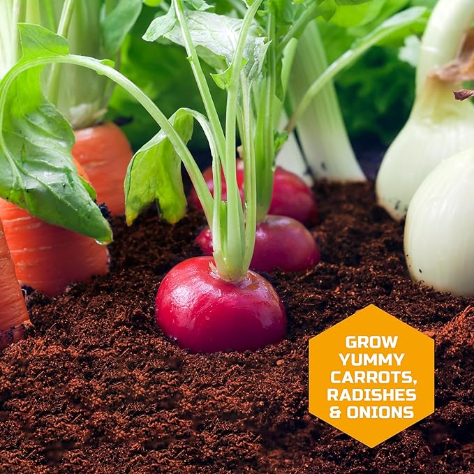 Discovery™ Edible Veggie Garden Watch-It-Grow Kit – DIY STEM Activity for Kids | Grow Carrots, Radishes & Onions| 11-Piece Science Kit with Seeds, Potting Mix & Root Tracker| Learning Toy Gift Ages 6+