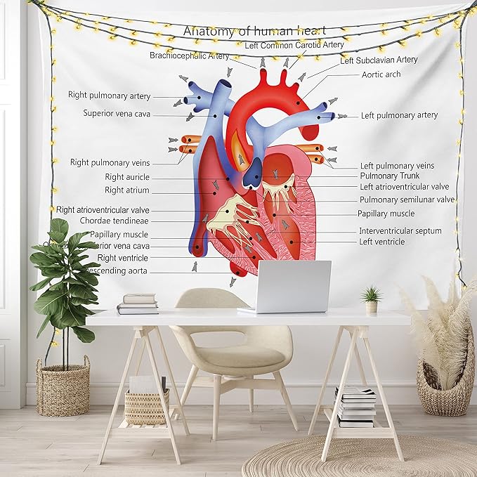 Ambesonne Science Tapestry, Structure of the Heart Human Body Anatomy Organ Veins Cardiology, Fabric Wall Hanging Decor for Bedroom Living Room Dorm, 45" X 30", Coral Red