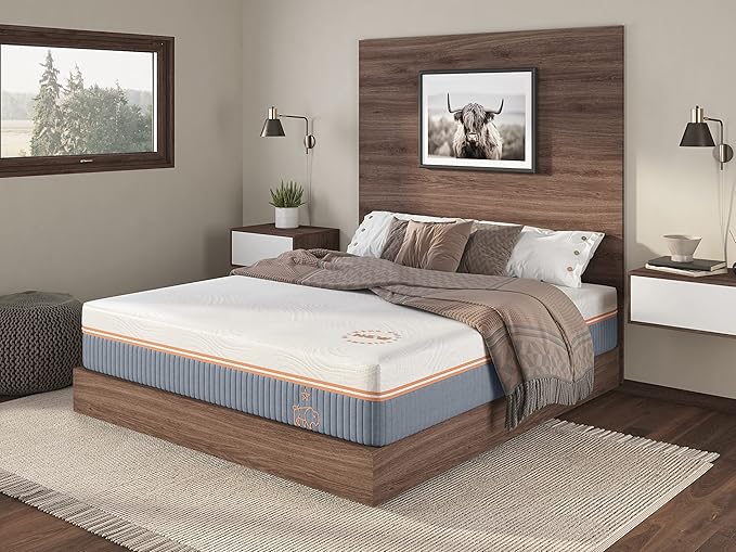 Nest & Wild Mattress Plush 12 Inch | Made in The USA | 100% Fiberglass-Free Cool Touch Cover | Ventilated Memory Foam | Bed in a Box | CertiPUR-US & OEKO-TEX100 Certified Foams (Full)