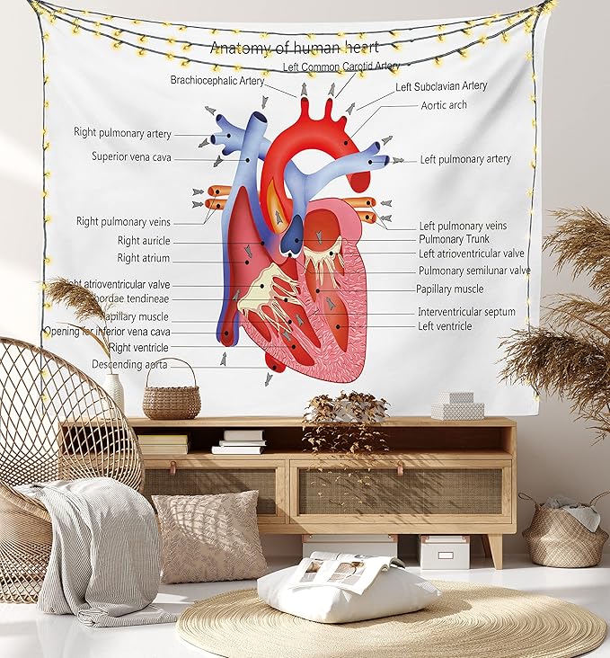 Ambesonne Science Tapestry, Structure of the Heart Human Body Anatomy Organ Veins Cardiology, Fabric Wall Hanging Decor for Bedroom Living Room Dorm, 45" X 30", Coral Red