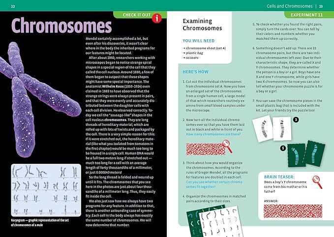 Thames & Kosmos Biology Genetics and DNA Multicolor, med