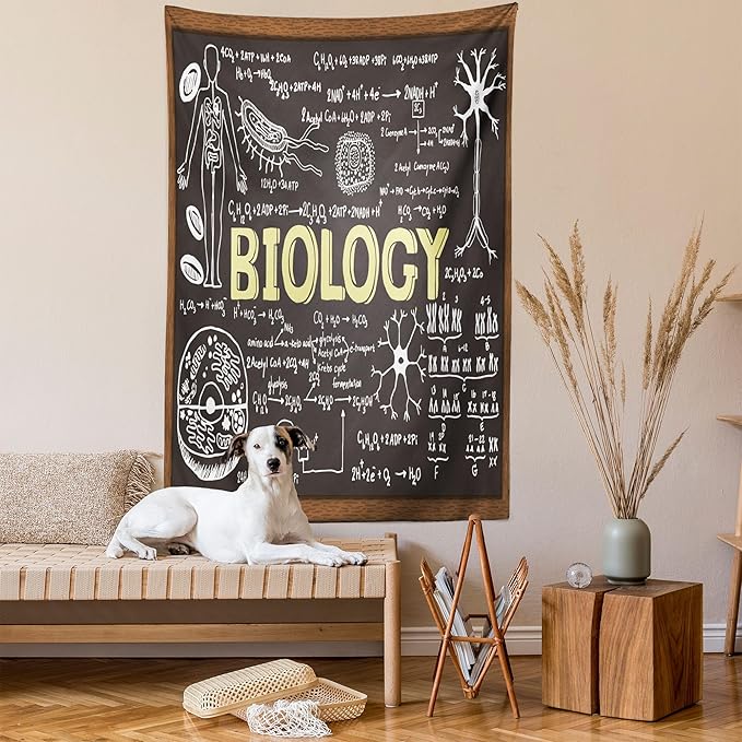 Ambesonne Science Tapestry, Black Chalkboard Biology Hand Written, Wall Hanging for Bedroom Living Room Dorm Decor, 40" X 60", Black Brown Pale Yellow