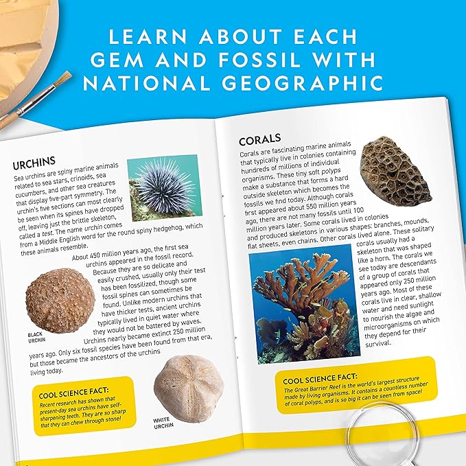 National Geographic Mega Fossil and Gemstone Dig Kit - Excavate 20 Real Fossils and Gems, Science Kit for Kids, Rock Digging Excavation Kit, Geology Gifts for Boys and Girls