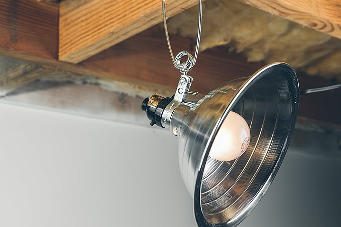 Woods Clamp Lamp Light with Aluminum Reflector; 150W; UL Listed; 6- Foot Cord,(Pack of 12)