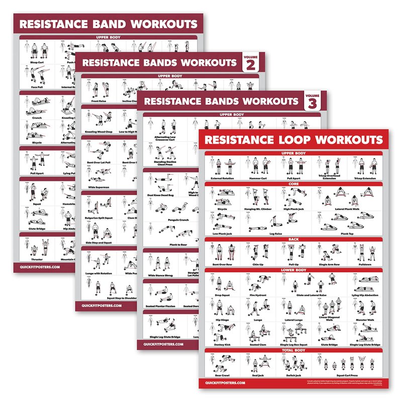 Palace Learning 4 Pack - Resistance Bands Workout Exercise Posters Volume 1, 2 & 3 + Resistance Loops Fitness Chart (LAMINATED, 18" x 24")