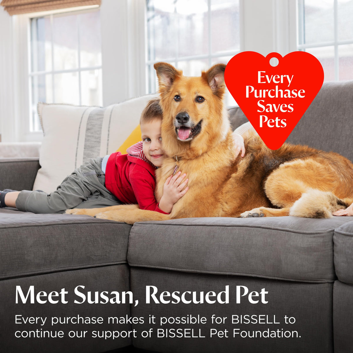 Bissell Multi-Surface Pet Solution with Febreze freshness, For Use in CrossWave and Other Leading Hard Surface and Area Rug Cleaners, 80oz, Dissolves Dirt, grime, and Tough Sticky Messes