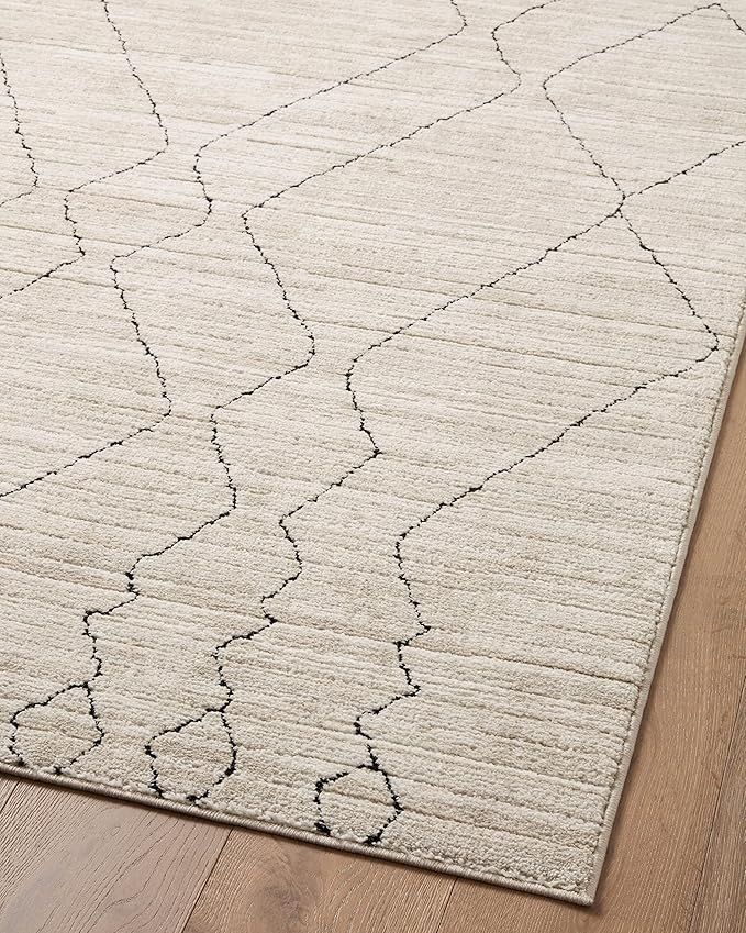 Loloi Darby Collection DAR-03 Sand/Charcoal 2'-7" x 4' Accent Rug