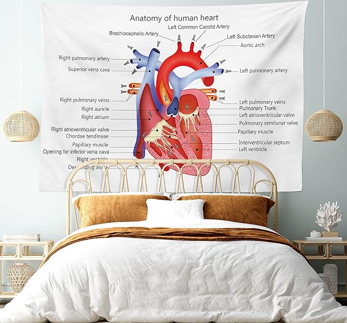Ambesonne Science Tapestry, Structure of the Heart Human Body Anatomy Organ Veins Cardiology, Fabric Wall Hanging Decor for Bedroom Living Room Dorm, 45" X 30", Coral Red