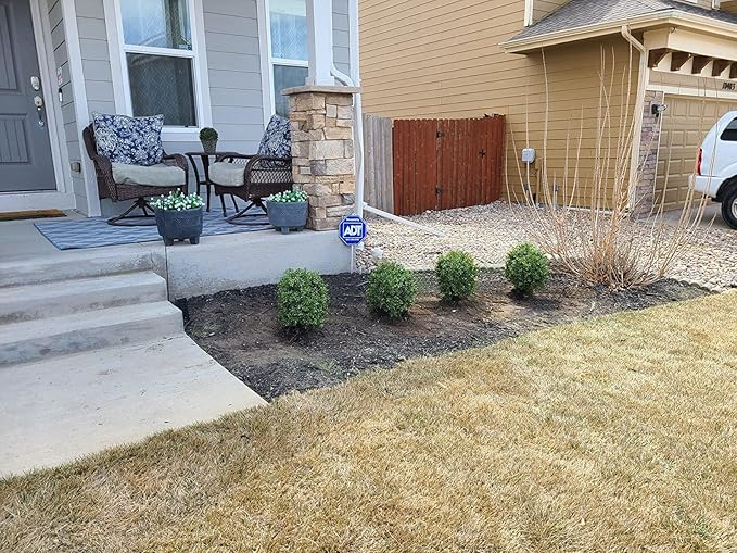 22''T Artificial Trees for Home and Office Decor Mini Bushes(2 Pack)