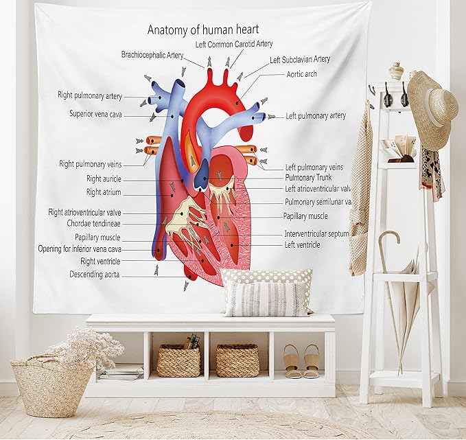 Ambesonne Science Tapestry, Structure of the Heart Human Body Anatomy Organ Veins Cardiology, Fabric Wall Hanging Decor for Bedroom Living Room Dorm, 45" X 30", Coral Red