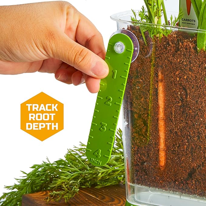 Discovery™ Edible Veggie Garden Watch-It-Grow Kit – DIY STEM Activity for Kids | Grow Carrots, Radishes & Onions| 11-Piece Science Kit with Seeds, Potting Mix & Root Tracker| Learning Toy Gift Ages 6+