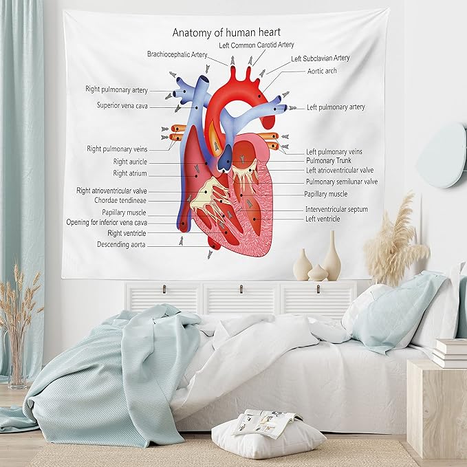 Ambesonne Science Tapestry, Structure of the Heart Human Body Anatomy Organ Veins Cardiology, Fabric Wall Hanging Decor for Bedroom Living Room Dorm, 45" X 30", Coral Red