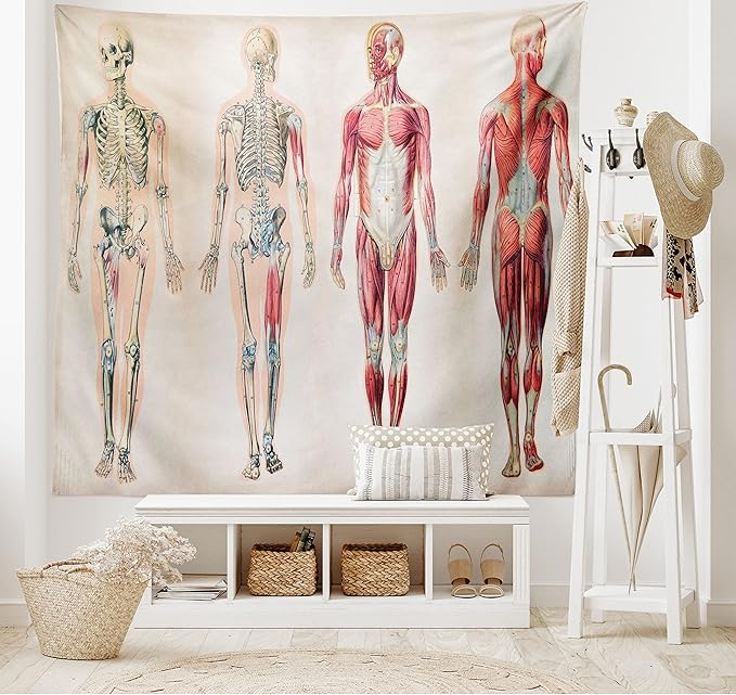 Ambesonne Human Anatomy Tapestry, Vintage Chart of Body Front Back Skeleton and Muscle System Bone Mass Graphic, Fabric Wall Hanging Decor for Bedroom Living Room Dorm, 28" X 23", Ruby Cream