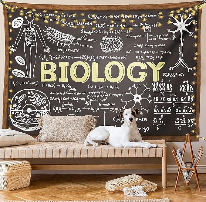 Ambesonne Science Tapestry, Black Chalkboard Biology Hand Written, Wall Hanging for Bedroom Living Room Dorm Decor, 40" X 60", Black Brown Pale Yellow