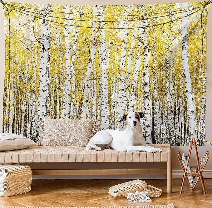 Ambesonne Forest Tapestry Twin Size, Autumn Birch Forest Golden Yellow Leaves Woodland October Seasonal Nature Picture, Wall Hanging Bedspread Bed Cover Wall Decor, 68" X 88", Yellow Grey