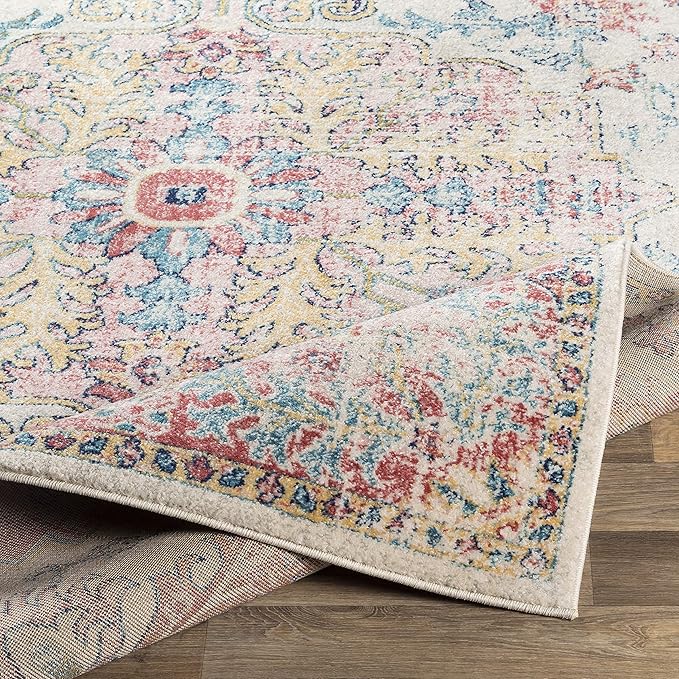 Livabliss Area Rugs - 8x10 Odelia Vintage Boho Red Off-White Blue Area Rug for Living Room Bedroom - Floral Medallion Stain Resistant Carpet for Kitchen, Nursery, Office (7'10" x 10')