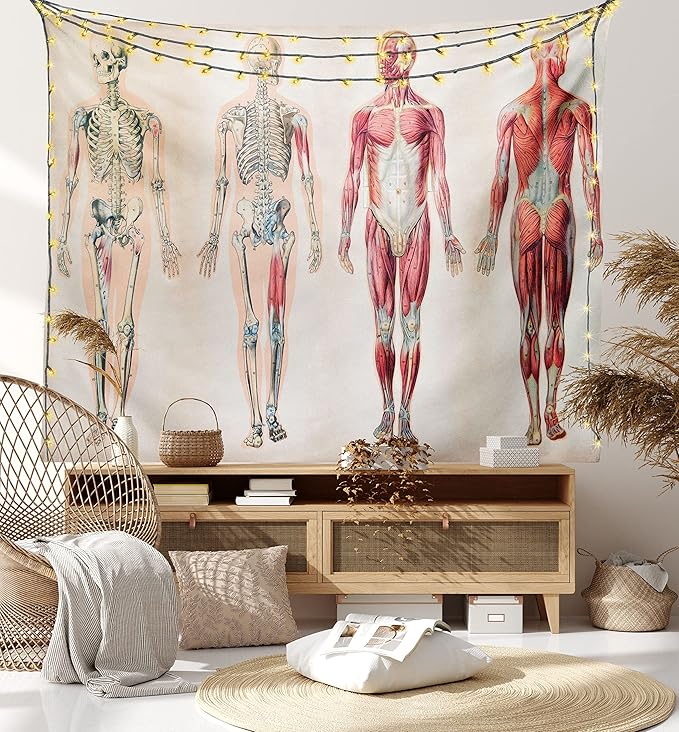 Ambesonne Human Anatomy Tapestry, Vintage Chart of Body Front Back Skeleton and Muscle System Bone Mass Graphic, Fabric Wall Hanging Decor for Bedroom Living Room Dorm, 28" X 23", Ruby Cream