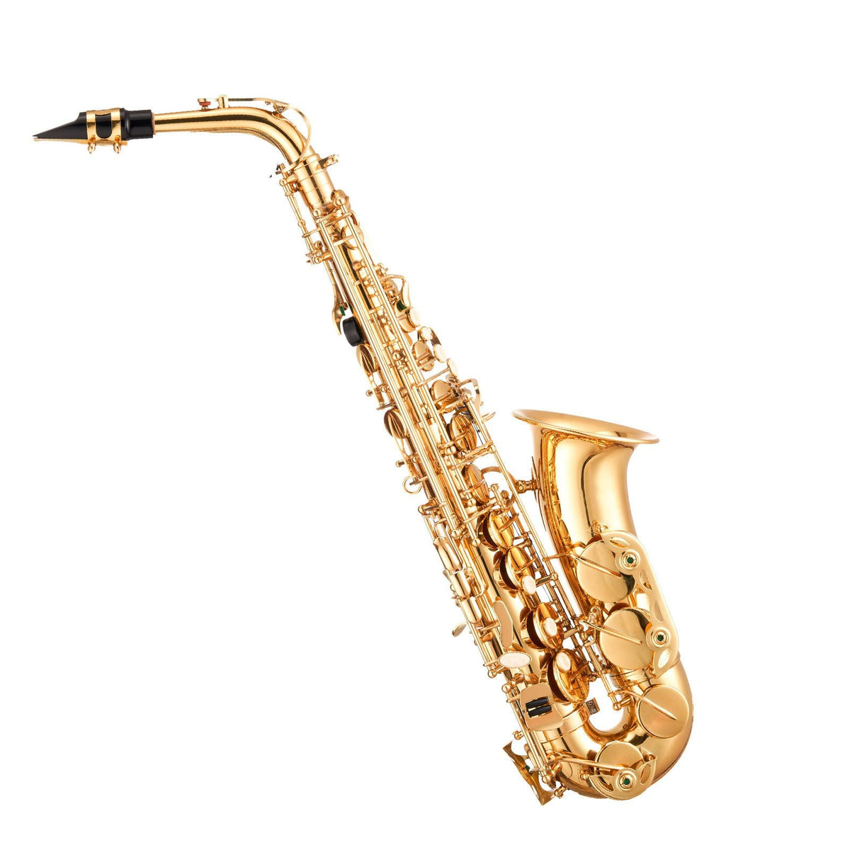 Alto Saxophone, E Flat, Brass Saxophone Beginner Kit with Carrying Case, Mouthpiece, Straps, Cleaning Cloth Rod, Gloves, Grease, Neck Strap, 23 Keys Alto Sax Kit, for Beginners Students, Gold