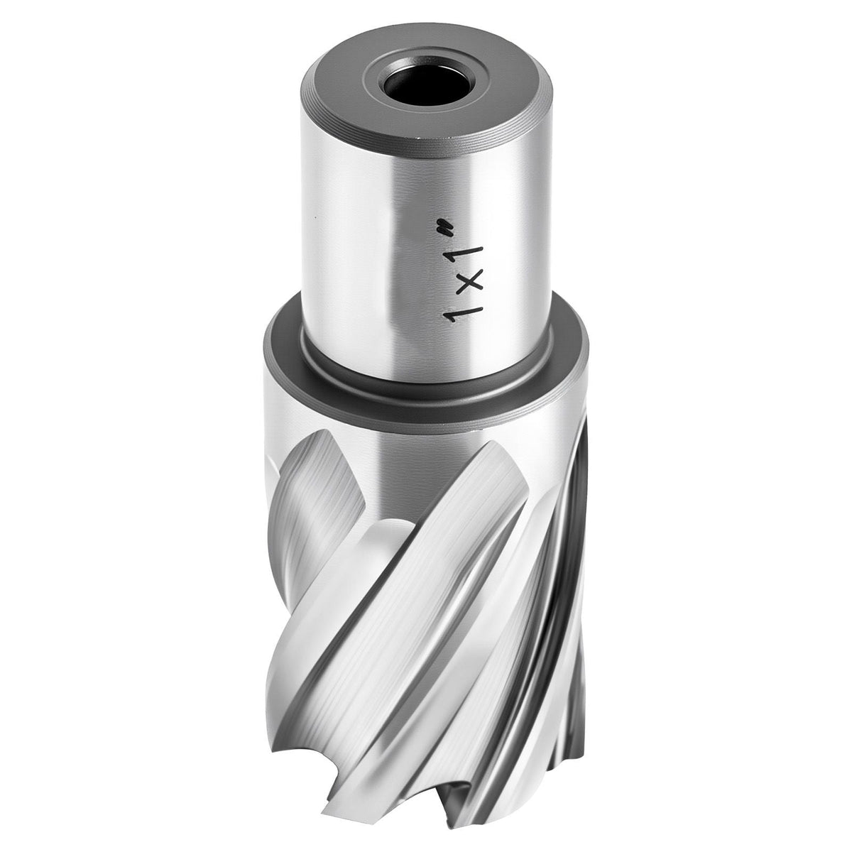 Annular Cutter Set, 4 pcs Weldon Shank Mag Drill Bits Kit, 1" Cutting Depth, 1" Cutting Diameter, HSS, 2 Drill Bits with 2 Pilot Pins and Plastic Cases, for Magnetic Drills, Steel, Aluminum