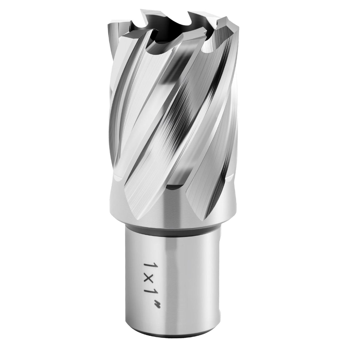 Annular Cutter Set, 4 pcs Weldon Shank Mag Drill Bits Kit, 1" Cutting Depth, 1" Cutting Diameter, HSS, 2 Drill Bits with 2 Pilot Pins and Plastic Cases, for Magnetic Drills, Steel, Aluminum