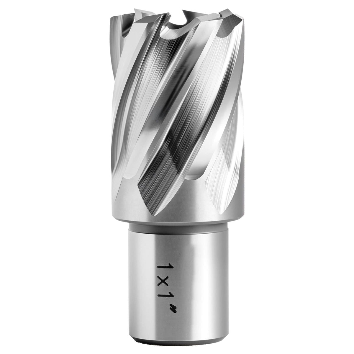 Annular Cutter Set, 4 pcs Weldon Shank Mag Drill Bits Kit, 1" Cutting Depth, 1" Cutting Diameter, HSS, 2 Drill Bits with 2 Pilot Pins and Plastic Cases, for Magnetic Drills, Steel, Aluminum