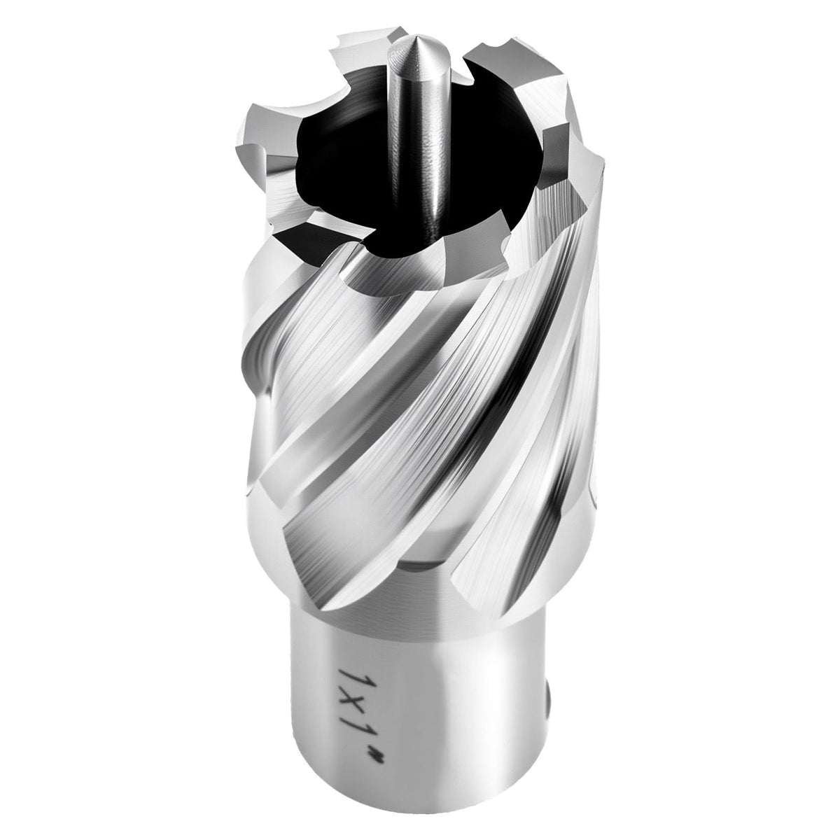 Annular Cutter Set, 4 pcs Weldon Shank Mag Drill Bits Kit, 1" Cutting Depth, 1" Cutting Diameter, HSS, 2 Drill Bits with 2 Pilot Pins and Plastic Cases, for Magnetic Drills, Steel, Aluminum