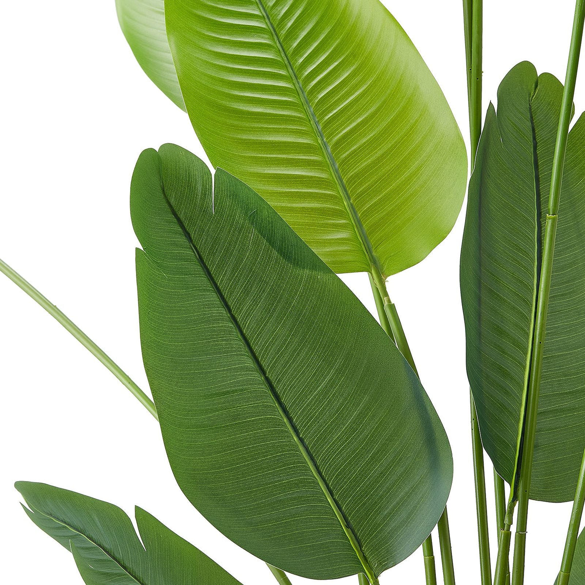 Artificial Bird of Paradise 6 ft Tall, Fake Tropical Plants with with 13 Trunks & White Pot, Faux Floor Silk Tree, Large Trees for Home Office Living Room Decor House Warming, Indoor Outdoor