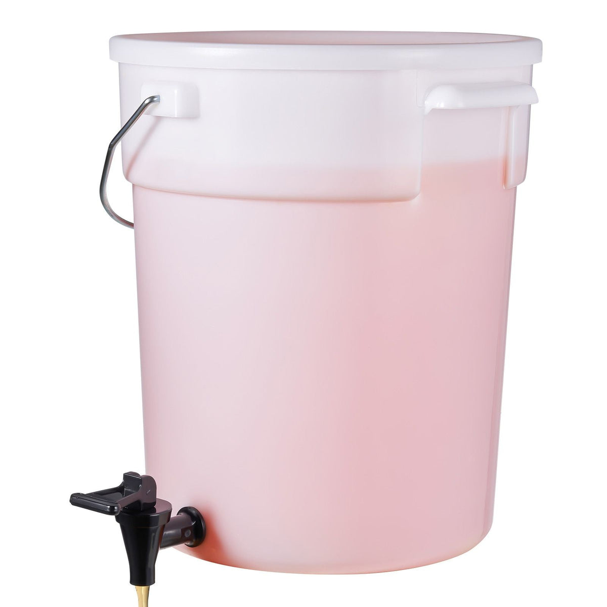 Beverage Dispenser, 5 Gallon Drink Dispensers for Parties, Plastic Juice Dispenser with Spigot and Lid, Iced Tea Lemonade Juice Water Dispenser, for Restaurants, Hotels, Parties