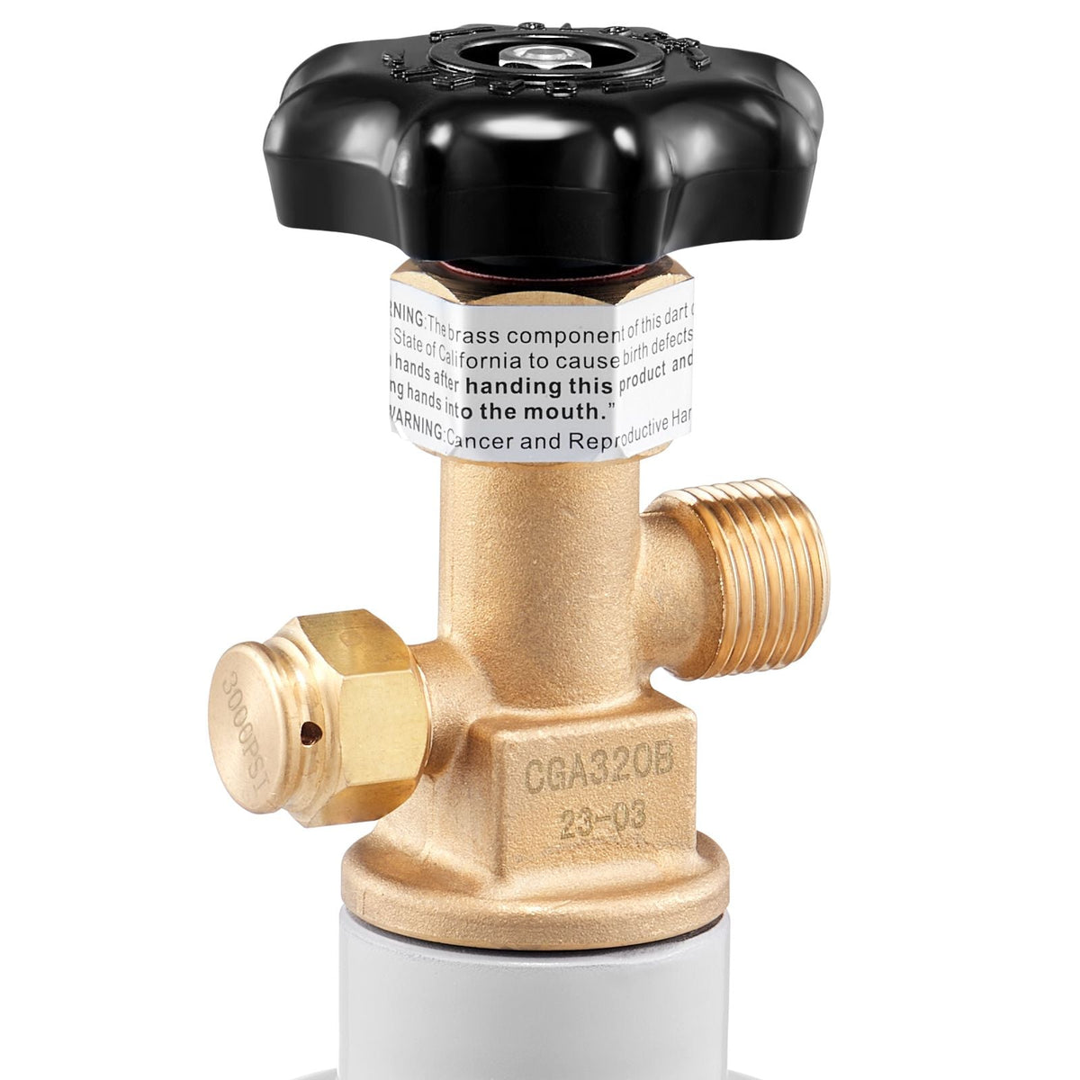 CO2 Regulator Gauge with 0-60PSI, Heavy Duty CO2 Gauge Gas System, Draft Beer Regulator with Adjustable Pressure Regulator, Check Valve for Draft Beer Homebrew (5 LBS CO2 Tank)