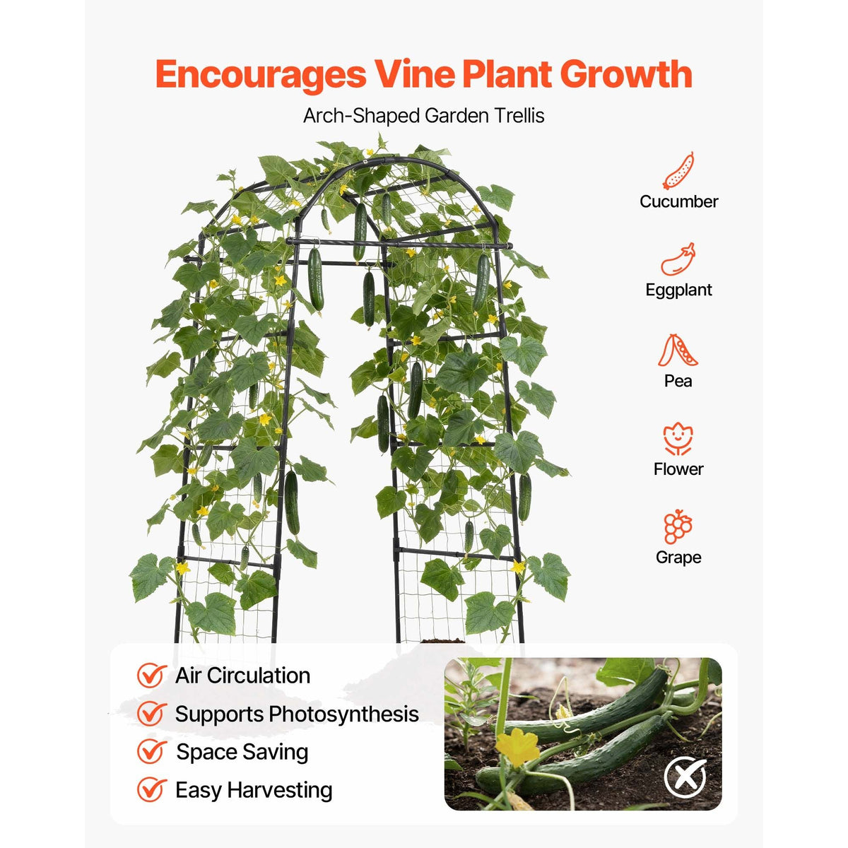 Cucumber Trellis, U-Shape Garden Trellises for Raised Bed, Metal Arch Plant Support for Vine, Climbing Plants Outdoor, Peas, Beans, Zucchini, Tomato, Squash, Flower (32.01 x 31.5 x 80.71 in)