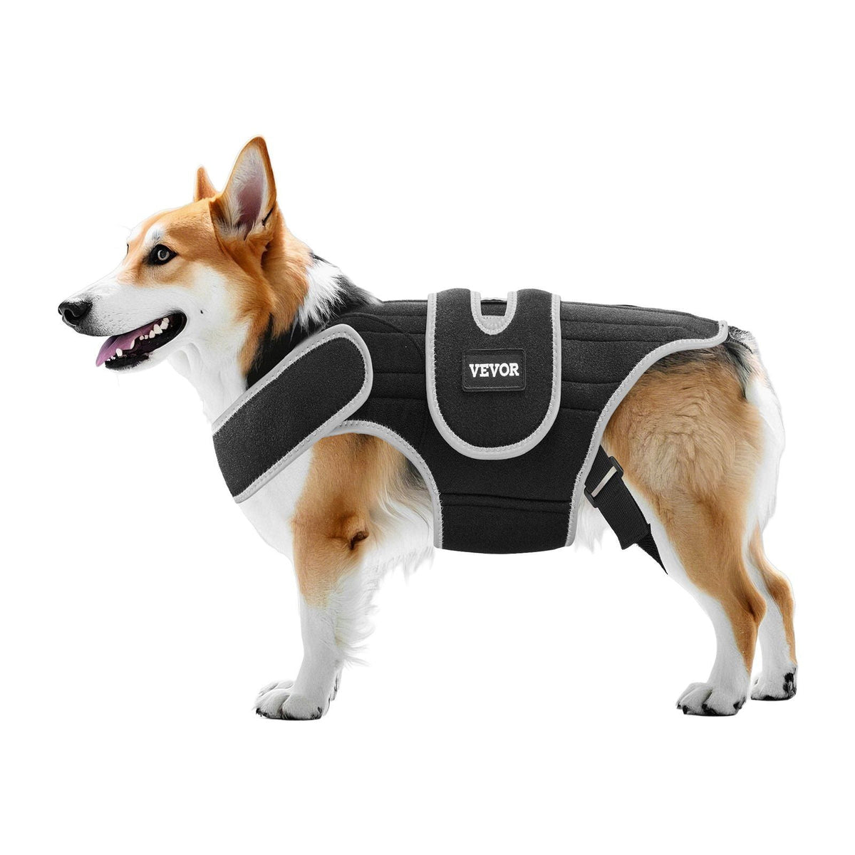 Dog Back Brace Adjustable Dog Spine Support Harness for IVDD After-Surgery