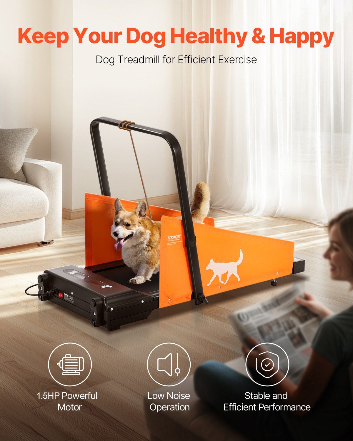 Dog Treadmill for Medium Dogs up to 200 lbs Electric Pet Treadmill