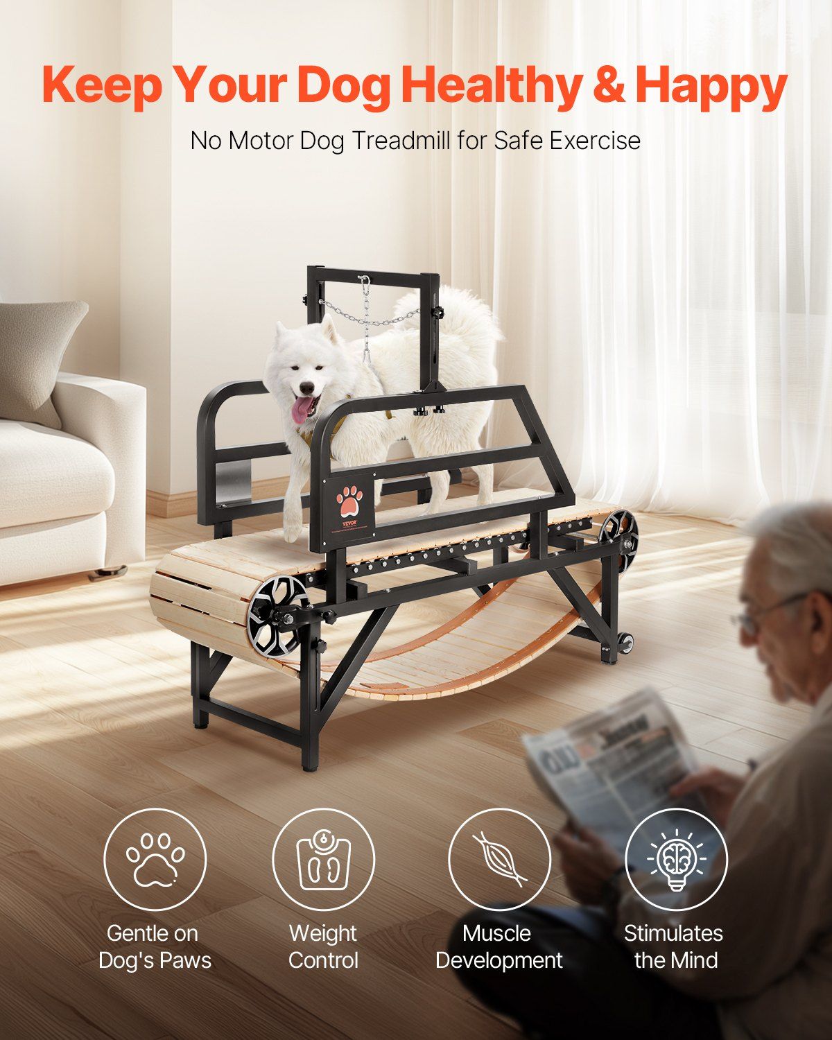 Dog Treadmill for Medium Dogs up to 220 lbs Indoor Pet Running Machine
