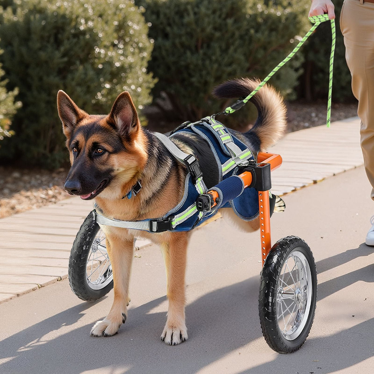 Dog Wheelchair for Back Legs, Lightweight 2 Wheels Pet Wheelchair, Height, Width & Length Adjustable, Dog Cart with Shock-Absorbing Wheels, for Injured, Disabled Dogs 48-88 lbs, Large