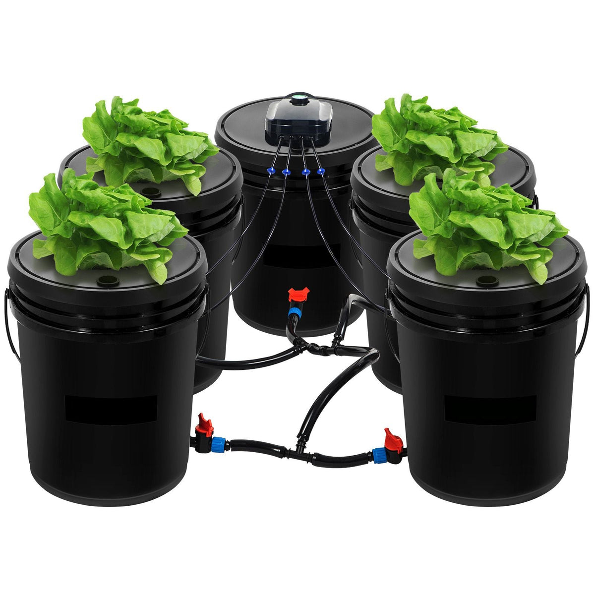DWC Hydroponic System, 5 Gallon 5 Buckets, Deep Water Culture Growing Bucket, Hydroponics Grow Kit with Pump, Air Stone and Connected Reservoir, for Indoor/Outdoor Leafy Vegetables