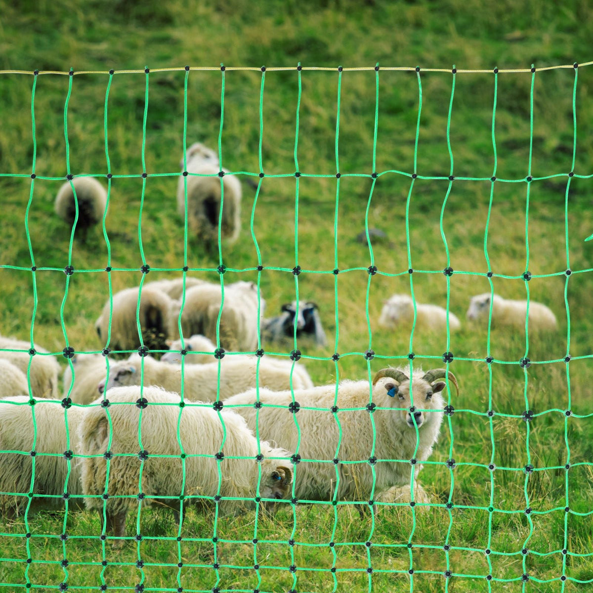 Electric Fence Netting, 42 in (H) x 164 ft (L), PE Net Fencing with Posts & Double-Spiked Stakes, Utility Portable Electric Fence for Pigs, Cows, Sheep, Deer, Used in Backyards, Farms, Ranches