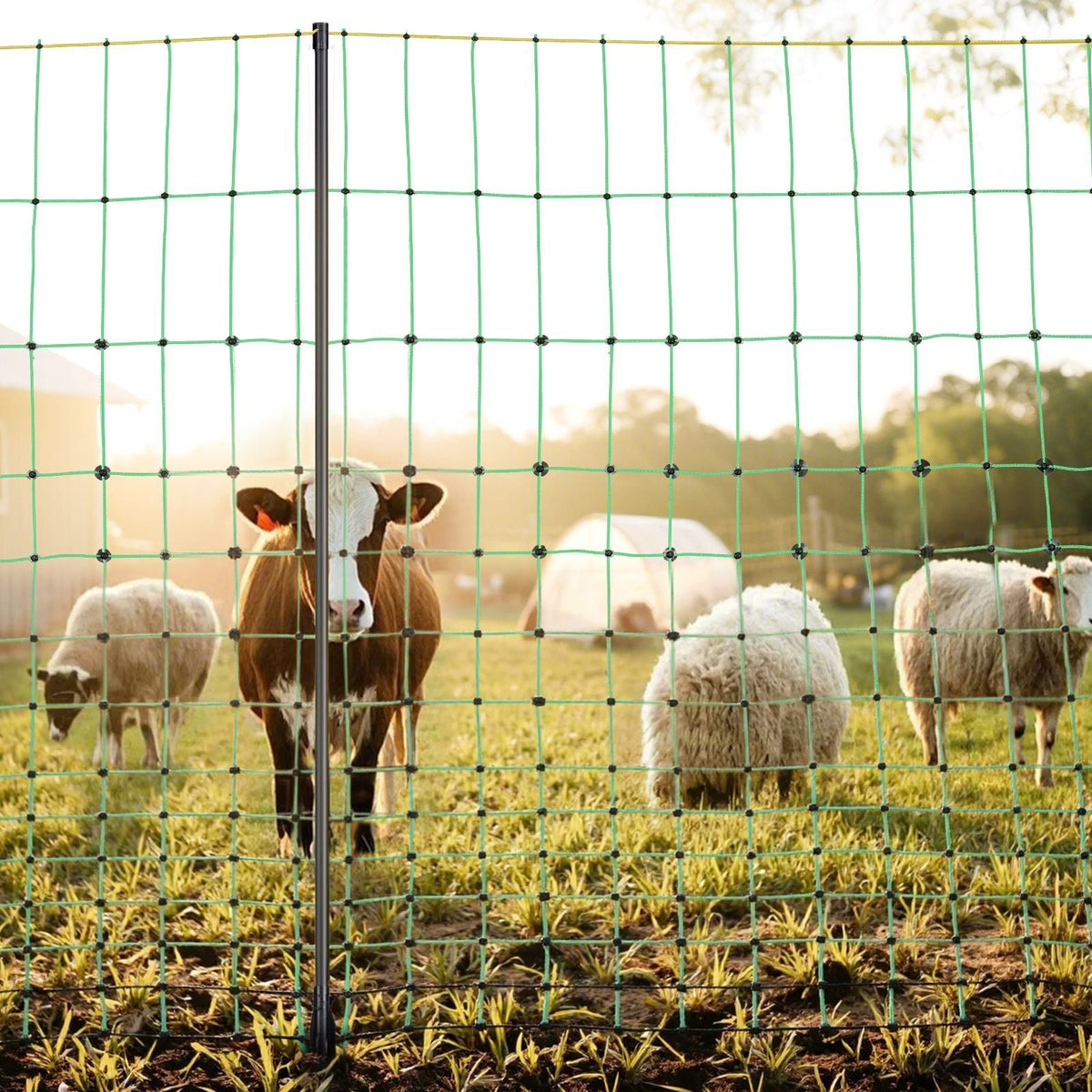 Electric Fence Netting, 50" H x 164' L, Livestock Net Fencing with Posts & Stakes, Portable Mesh Nets for Goats, Sheep, Deer, Hogs, Dogs, Electric Fencing for Backyards, Gardens, Farms, Ranches