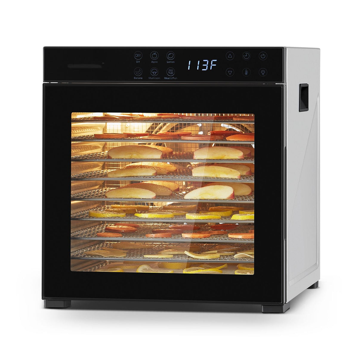 Food Dehydrator Machine, 10 Stainless Steel Trays, 1000W Electric Food Dryer with Adjustable Temperature & 24-Hour Timer, Freeze Dryer for Jerky, Meat, Fruit, Vegetables, Herbs, Dog Treats